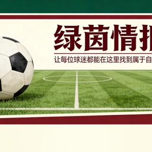 开云体育-扬·维尔吉利令西甲刮目相看